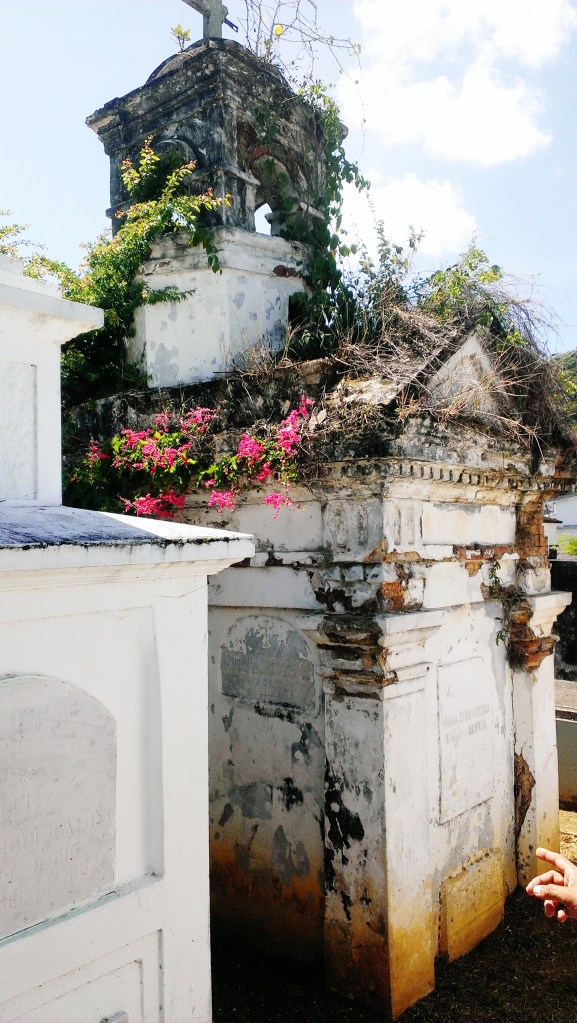 IHV CEMENTERIO DE VEGA BAJA  (64)
