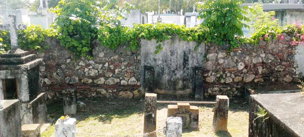 IHV CEMENTERIO DE VEGA BAJA  (61)