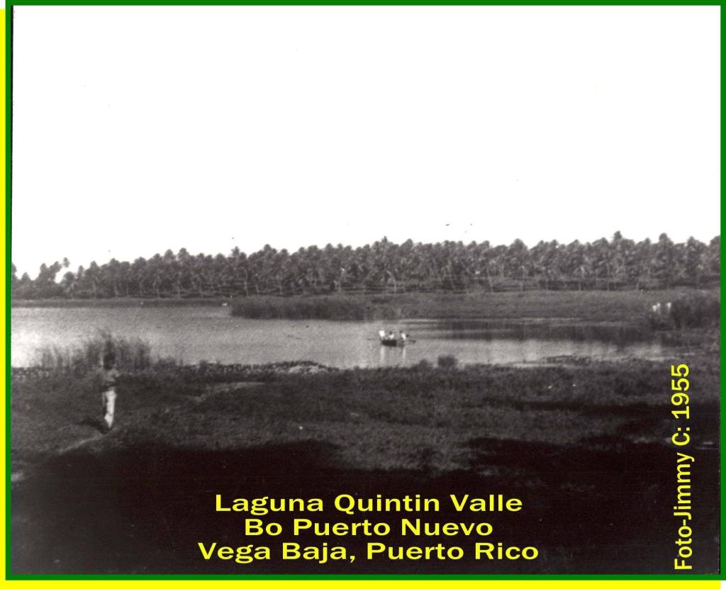 TJRF LAGUNA QUINTIN VALLE