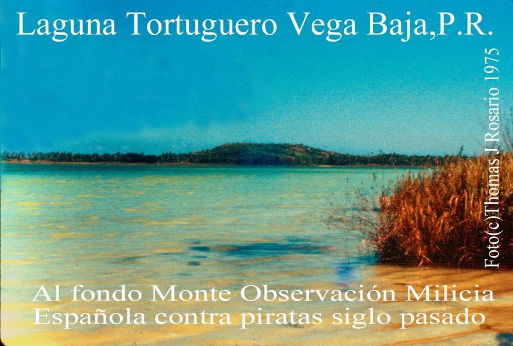 TJRF LAGUNA TORTUGUERO Y MONTE DE GUARICO
