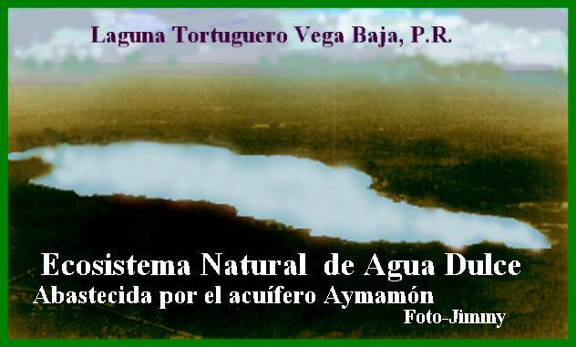 TJRF LAGUNA TORTUGUERO