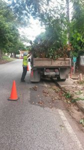 limpieza municipal 2