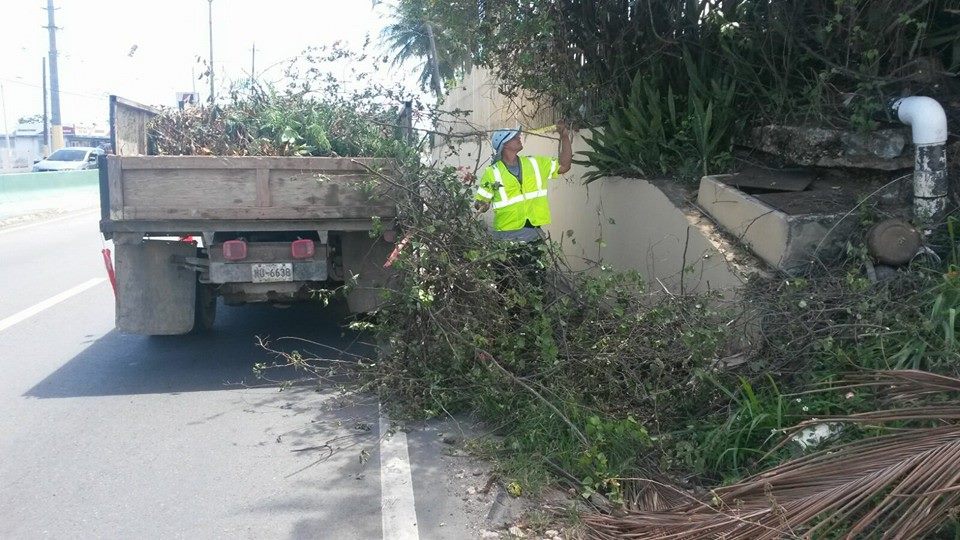 limpieza municipal 5