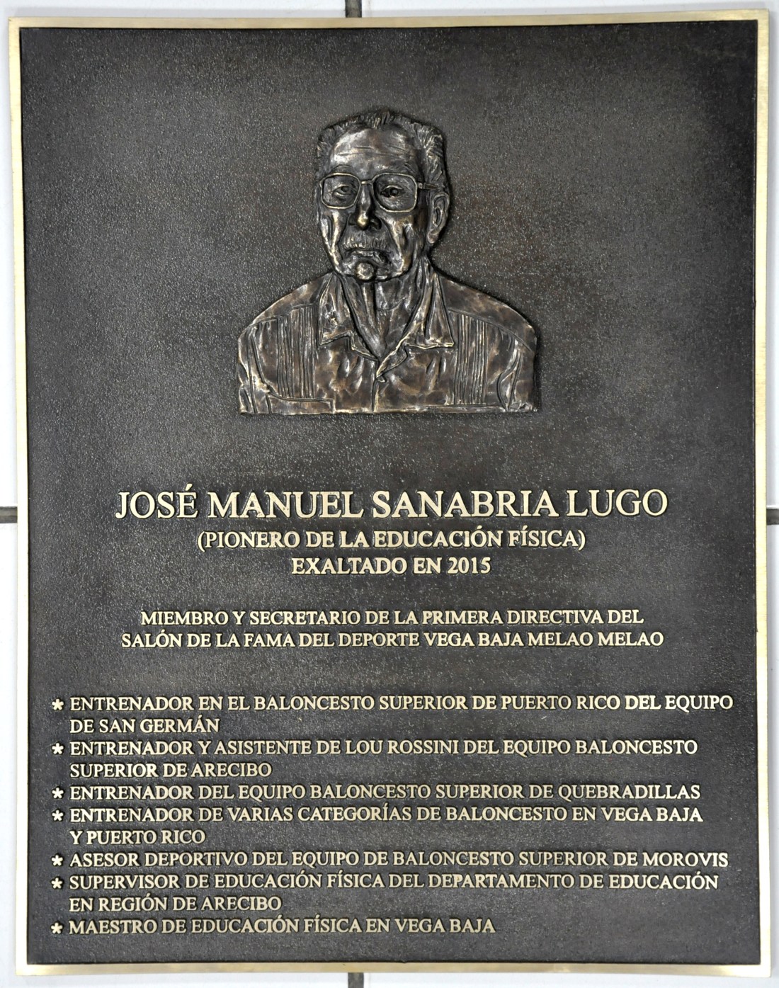 Tarja de Jose Manuel Sanabria Lugo_DSC_0624