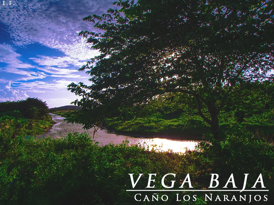 EDGAR FREYTES CANO LOS NARANJOS